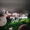 Neon "You Are My Sunshine"